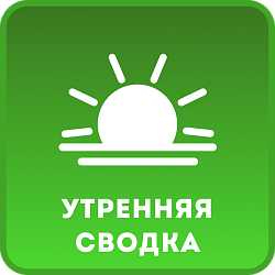 Утренняя сводка